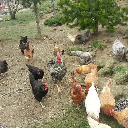 La Collada De Aralla Aralla de Luna